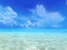 permanentvacation