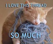 Click image for larger version

Name:	lol-cats_i-love-this-thread-so-much.jpg
Views:	66
Size:	50.7 KB
ID:	980941