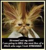 Click image for larger version

Name:	thumbnail.jpg
Views:	85
Size:	5.8 KB
ID:	981004