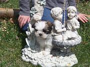 Click image for larger version

Name:	april may 2010 062.jpg
Views:	73
Size:	169.6 KB
ID:	981073