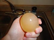 Click image for larger version

Name:	Egg 4.jpg
Views:	65
Size:	49.0 KB
ID:	981182