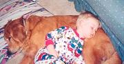 Click image for larger version

Name:	brotherly comfort2.JPG
Views:	80
Size:	23.3 KB
ID:	981493