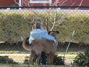 Click image for larger version

Name:	IMG_1263.jpg
Views:	71
Size:	135.4 KB
ID:	981498