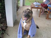 Click image for larger version

Name:	IMG_3603.jpg
Views:	62
Size:	89.6 KB
ID:	981499