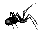 Click image for larger version

Name:	avatar-blkspider.gif
Views:	137
Size:	823 Bytes
ID:	981537