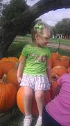 Click image for larger version

Name:	daycarefieldtrip.jpg
Views:	103
Size:	40.0 KB
ID:	981628