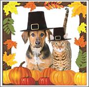 Click image for larger version

Name:	thanksgiving-animals-leaf-frame.jpg
Views:	48
Size:	16.4 KB
ID:	981631