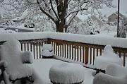 Click image for larger version

Name:	DSC_0066.jpg
Views:	58
Size:	100.7 KB
ID:	981715