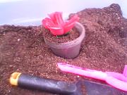 Click image for larger version

Name:	flower station 3.jpg
Views:	79
Size:	27.5 KB
ID:	981877