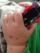 Click image for larger version

Name:	IMG_3696.jpg
Views:	55
Size:	42.7 KB
ID:	982161