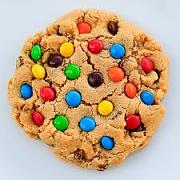 Click image for larger version

Name:	backbone cookie.jpg
Views:	77
Size:	11.6 KB
ID:	982277