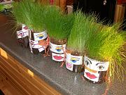 Click image for larger version

Name:	kinderhaus kids 005.jpg
Views:	70
Size:	185.1 KB
ID:	982288