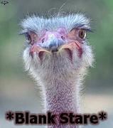 Click image for larger version

Name:	cf063-blank_stare.jpg
Views:	56
Size:	16.4 KB
ID:	982345