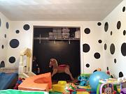 Click image for larger version

Name:	IMG_5017.jpg
Views:	165
Size:	75.0 KB
ID:	982347