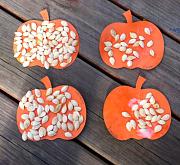 Click image for larger version

Name:	seeds.jpg
Views:	58
Size:	84.1 KB
ID:	982593