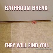 Click image for larger version

Name:	image.jpg
Views:	63
Size:	83.1 KB
ID:	982841