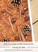 Click image for larger version

Name:	sensory bin1.jpg
Views:	59
Size:	101.5 KB
ID:	983040