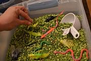 Click image for larger version

Name:	sensory bin2.jpg
Views:	60
Size:	37.1 KB
ID:	983041