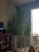 Click image for larger version

Name:	22.jpg
Views:	85
Size:	101.9 KB
ID:	983546