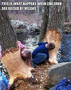 Click image for larger version

Name:	vegans.jpg
Views:	101
Size:	93.7 KB
ID:	983700