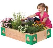 Click image for larger version

Name:	kids garden 1 (360 x 328).jpg
Views:	63
Size:	29.9 KB
ID:	983784