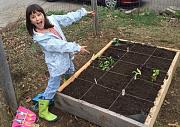 Click image for larger version

Name:	kids garden 2 (600 x 424).jpg
Views:	66
Size:	112.6 KB
ID:	983785