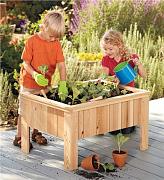 Click image for larger version

Name:	kids garden 3 (460 x 506).jpg
Views:	69
Size:	76.2 KB
ID:	983786