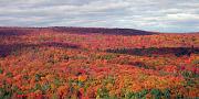 Click image for larger version

Name:	fall-colors.jpg
Views:	74
Size:	83.2 KB
ID:	983831