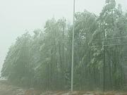 Click image for larger version

Name:	georgia winter (600 x 450).jpg
Views:	77
Size:	57.5 KB
ID:	985194