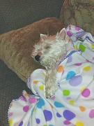 Click image for larger version

Name:	zzz.jpg
Views:	88
Size:	21.8 KB
ID:	985202