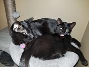 Click image for larger version

Name:	20201027_182654.jpg
Views:	85
Size:	3.88 MB
ID:	985203