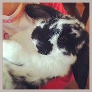Click image for larger version

Name:	IMG_4409.jpg
Views:	61
Size:	48.4 KB
ID:	985713