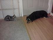 Click image for larger version

Name:	2013-09-26 23.32.56.jpg
Views:	63
Size:	337.6 KB
ID:	986127