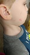 Click image for larger version

Name:	carterscratch4918.jpg
Views:	132
Size:	59.3 KB
ID:	986262
