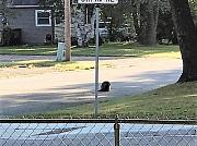 Click image for larger version

Name:	IMG_1467 (2).jpg
Views:	87
Size:	102.3 KB
ID:	986301