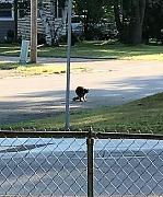 Click image for larger version

Name:	IMG_1468 (2).jpg
Views:	91
Size:	102.3 KB
ID:	986302